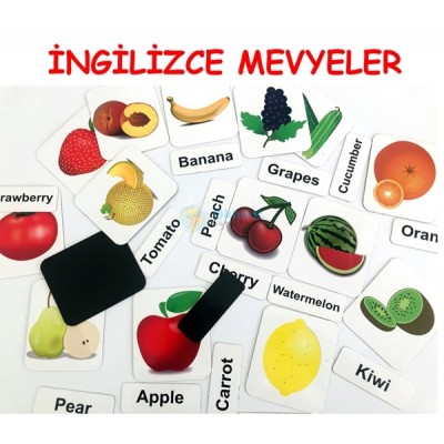 İngilizce Meyveler ve Sebzeler Magnetleri İngilizce Meyveler ve Sebzeler Magnetleri