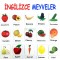 İngilizce Meyveler ve Sebzeler Magnetleri
