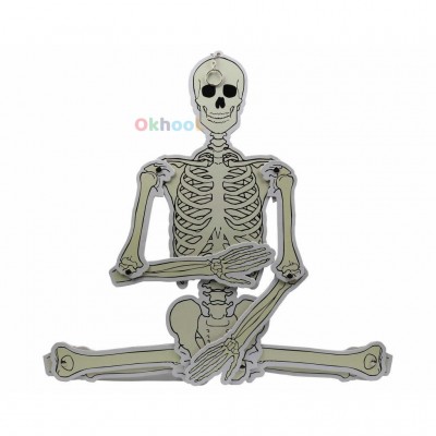 İskelet Maketi 25 cm İskelet Maketi 25 cm