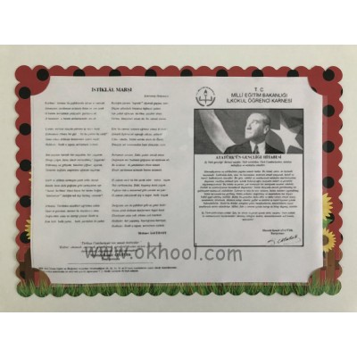 Karne Kılıfı Uğur Böceği Tema