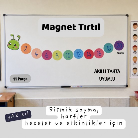 Magnet Tırtıl - Ritmik Sayma ve Etkinlik Tırtılı - Ritmik Saymalar, Harf, Hece ve Kelime - 11 Parça Yaz Sil